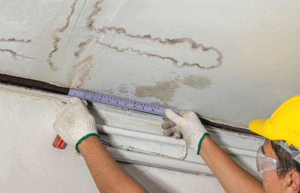 Affordable Water Damage Repair solutions in Clarksburg, WV